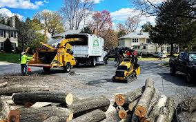 How Our Tree Care Process Works  in  Peotone, IL